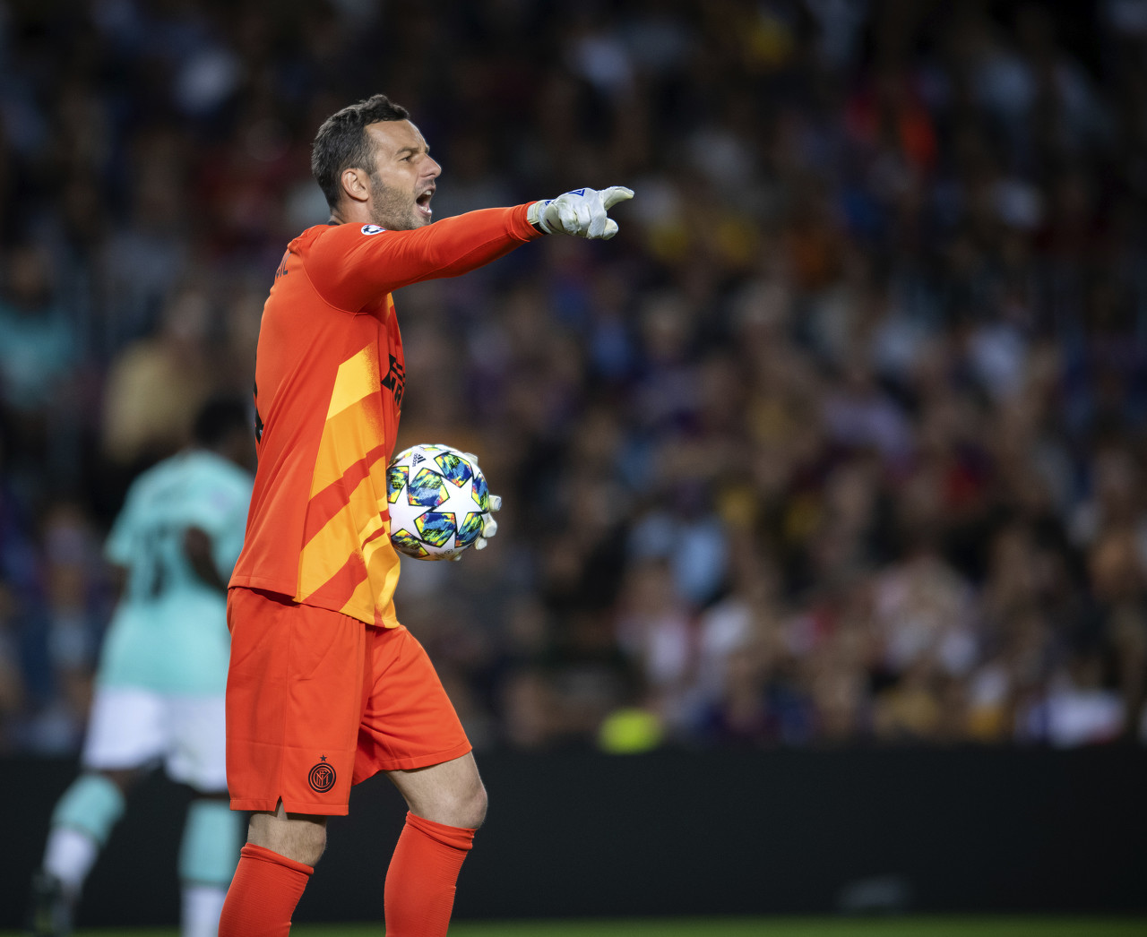 同等重要 同等重要