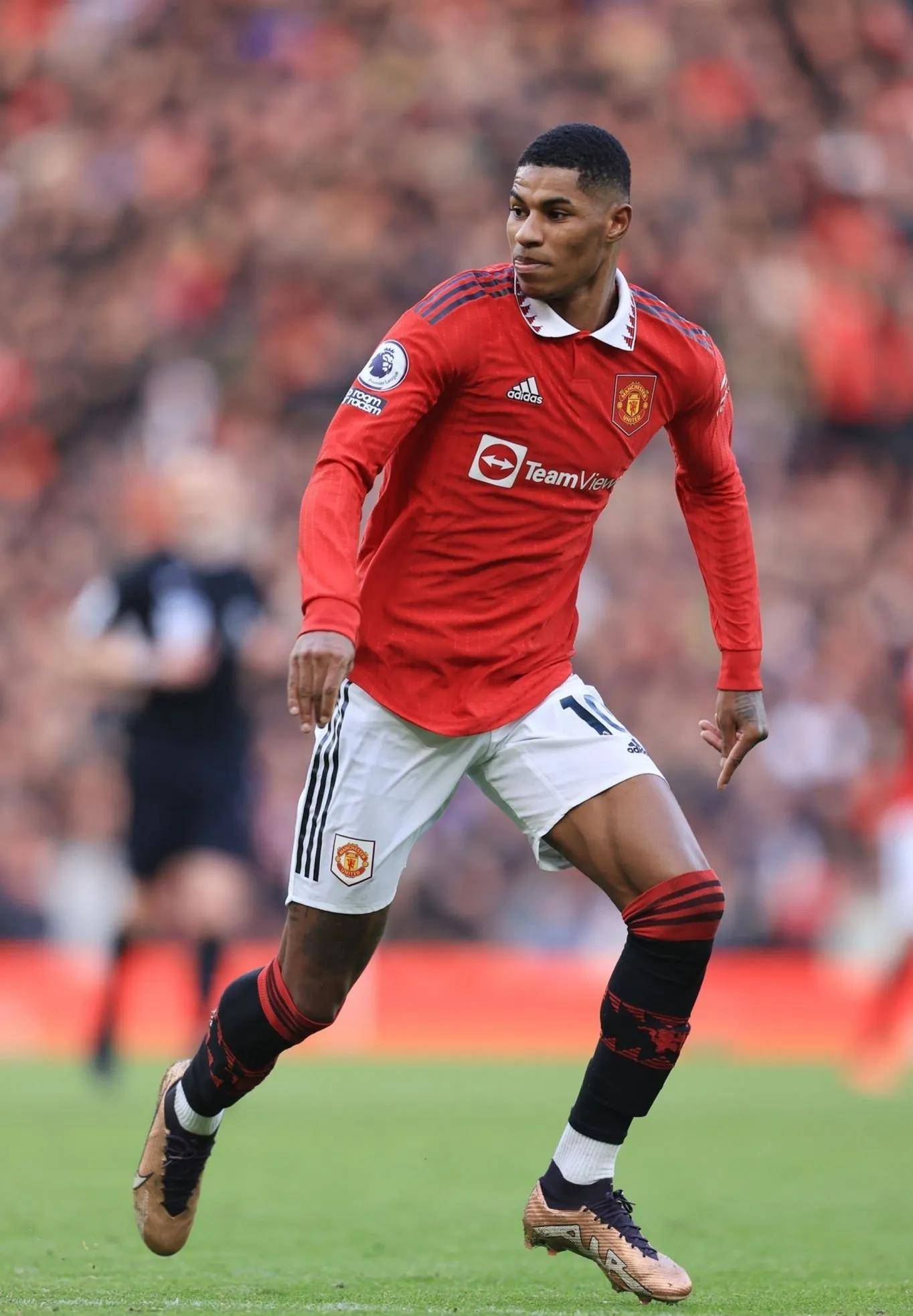 率显著提高 率显著提高